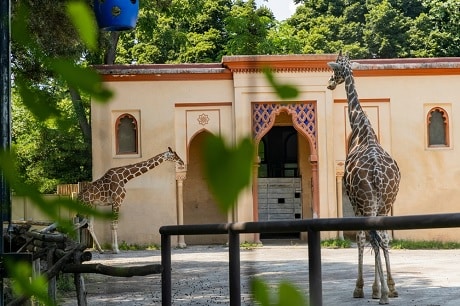 Bioparco Rome - leuke activiteit