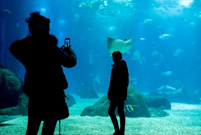 Oceanário de Lisboa - Aquarium Lissabon - leuke activiteit